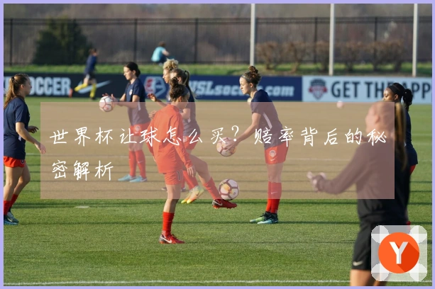 世界杯让球怎么买？赔率背后的秘密解析