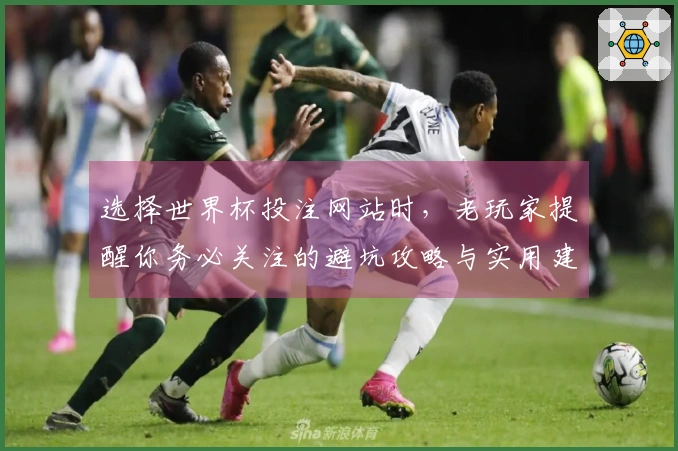 选择世界杯投注网站时,老玩家提醒你务必关注的避坑攻略与实用建议