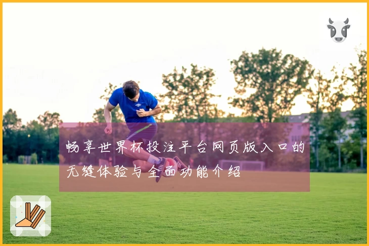 畅享世界杯投注平台网页版入口的无缝体验与全面功能介绍