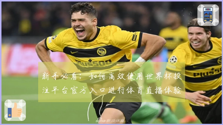 新手必看:如何高效使用世界杯投注平台官方入口进行体育直播体验