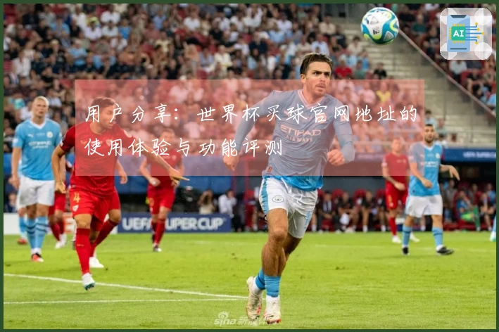 用户分享：世界杯买球官网地址的使用体验与功能评测