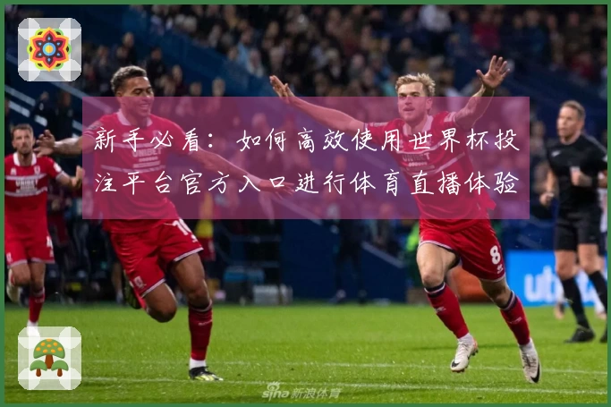 新手必看：如何高效使用世界杯投注平台官方入口进行体育直播体验