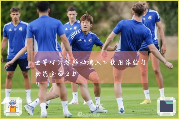 世界杯买球移动端入口使用体验与功能全面分析