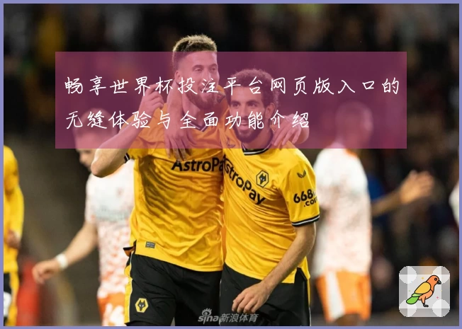 畅享世界杯投注平台网页版入口的无缝体验与全面功能介绍