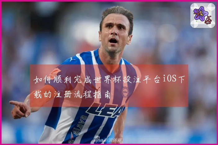 如何顺利完成世界杯投注平台iOS下载的注册流程指南