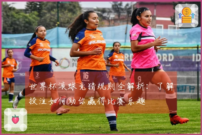 世界杯滚球竞猜规则全解析：了解投注如何助你赢得比赛乐趣