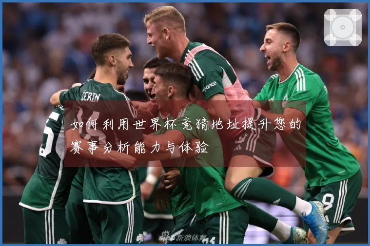 如何利用世界杯竞猜地址提升您的赛事分析能力与体验