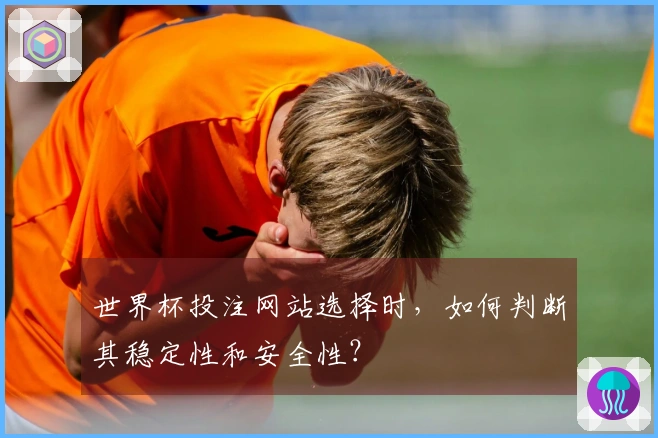 世界杯投注网站选择时，如何判断其稳定性和安全性？