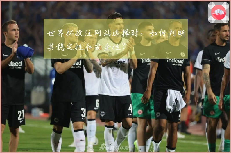 世界杯投注网站选择时，如何判断其稳定性和安全性？
