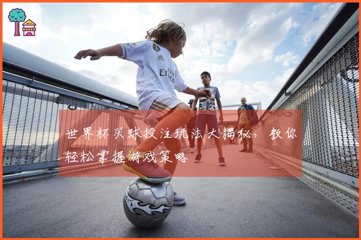 世界杯买球投注玩法大揭秘，教你轻松掌握游戏策略