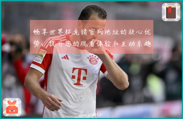 畅享世界杯竞猜官网地址的核心优势，提升您的观看体验和互动乐趣