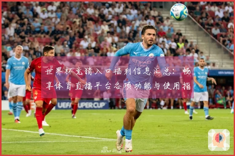 世界杯竞猜入口福利信息汇总：畅享体育直播平台各项功能与使用指南